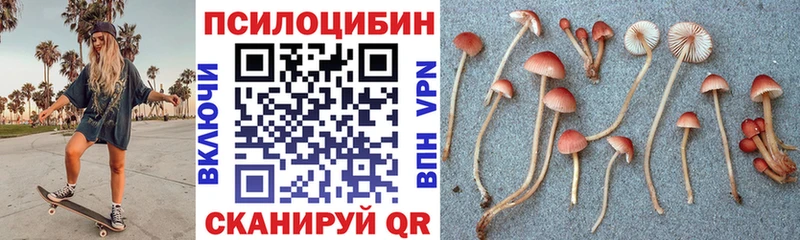Псилоцибиновые грибы Magic Shrooms Оленегорск