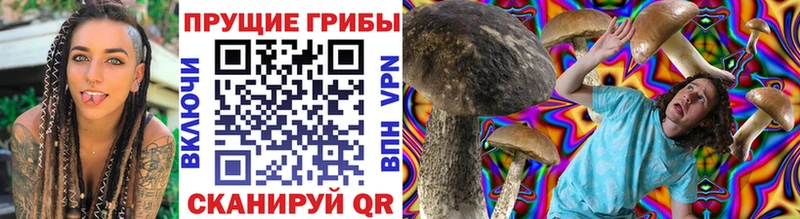 купить закладку  Оленегорск  Псилоцибиновые грибы GOLDEN TEACHER 