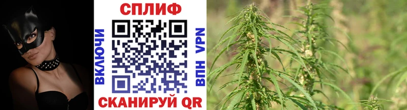 Шишки марихуана гибрид  гидра онион  Оленегорск 